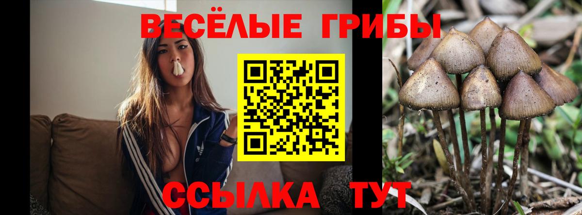 Усть-Джегута  Галлюциногенные грибы мицелий  Псилоцибиновые грибы GOLDEN TEACHER  Вход с VPN 